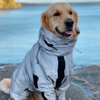 Reflective Dog Raincoat for Medium to Large Breeds - Full Coverage Waterproof Windbreaker