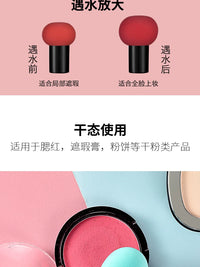 Mushroom Head Makeup Sponge Blender Set - 2 Pcs with Case, Dry & Wet Use for Foundation, BB Cream, Concealer