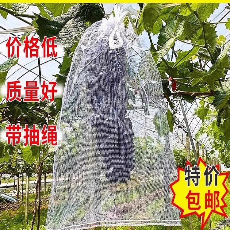 Fruit Protection Bags for Peaches, Apples, Guavas, Pears - Anti-Insect and Anti-Bird Net Covers for Fruit Trees