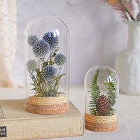 Vintage Dried Flower Specimen Glass Dome Ornament for Home Decor and Gifting