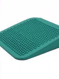 Inflatable Pet Rehabilitation Ramp for Muscle Training and Weight Transfer