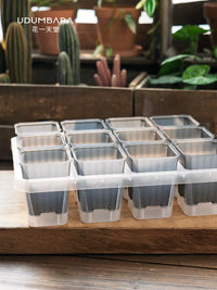 7cm Square Plastic Succulent Planter Pots with 12-Cell Seedling Tray for Cactus and Flowers