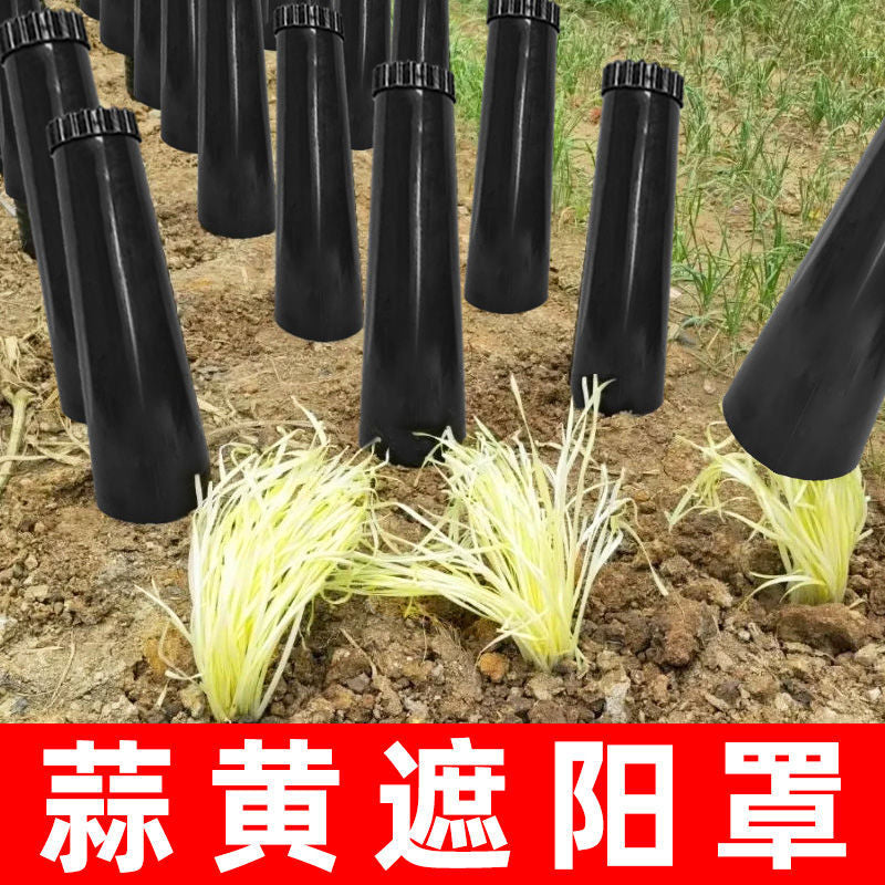 Garlic Chive Growing Tube for Home Balcony Vegetable Cultivation
