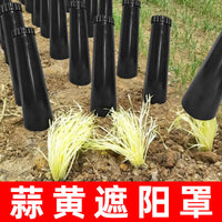 Garlic Chive Growing Tube for Home Balcony Vegetable Cultivation