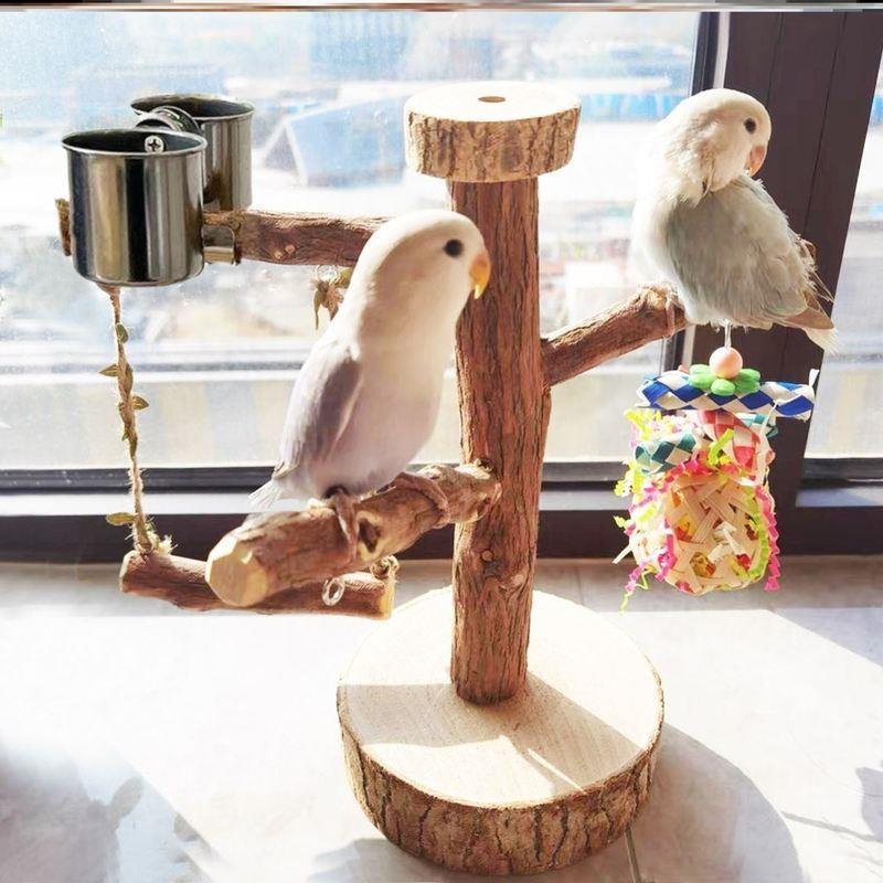 Bird Playground Perch with Swing and Food Box for Small Parrots and Budgies