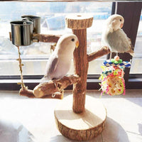 Bird Playground Perch with Swing and Food Box for Small Parrots and Budgies