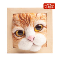 DIY Wool Felt Needle Felting Animal Head Craft Kit for Beginners