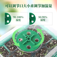 Seedling Starter Trays with Grow Lights and Transplanting Tools, 6/12-Cell Options