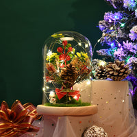 LED Christmas Tree Micro Landscape Glass Dome Ornament with Lights