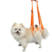 Dog Rear Leg Support Harness for Injured, Disabled, or Elderly Dogs