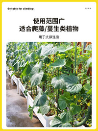 Tomato Cage Plant Support Stakes for Climbing Fruits and Vegetables, Garden Trellis for Tomatoes, Cucumbers, and Watermelons