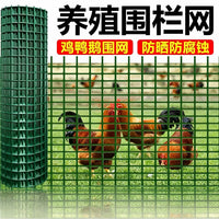 Green PVC Coated Welded Wire Mesh Fence for Garden and Poultry Enclosures