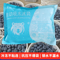 Reusable Ice Pack for Express Delivery, Cold Chain, Fresh Food, Seafood, Fruit Preservation - Self-Absorbing Ice Bag