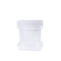 Clear Wall-Mounted Orchid Pot with Tray - Thickened Plastic for Phalaenopsis, Oncidium, Dendrobium