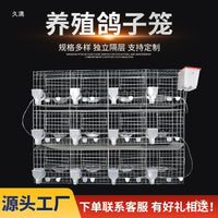 Outdoor Galvanized Pigeon Breeding Cage with Water Tank, Multi-Tier Design for Racing Pigeons