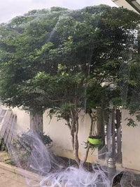 Orchard Bird Netting for Fruit Trees and Vegetables - Durable Nylon Protective Mesh