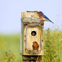 Metal Birdhouse Hole Protector Predator Guard for Nest Boxes