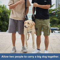 Dog Lift Harness for Senior & Disabled Dogs - Abdominal Support Walking Aid