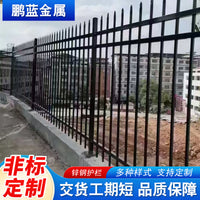 Zinc Steel Outdoor Fence Panel for Garden, Villa, School, and Community