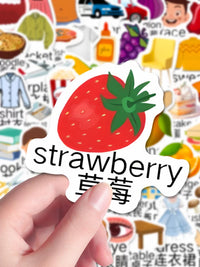130-260 Pcs English Vocabulary Stickers for Kids' Notebooks & Handbooks, Early Learning