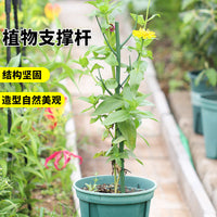 Plant Support Stakes for Climbing Vines and Potted Plants, Green Plastic Coated Steel