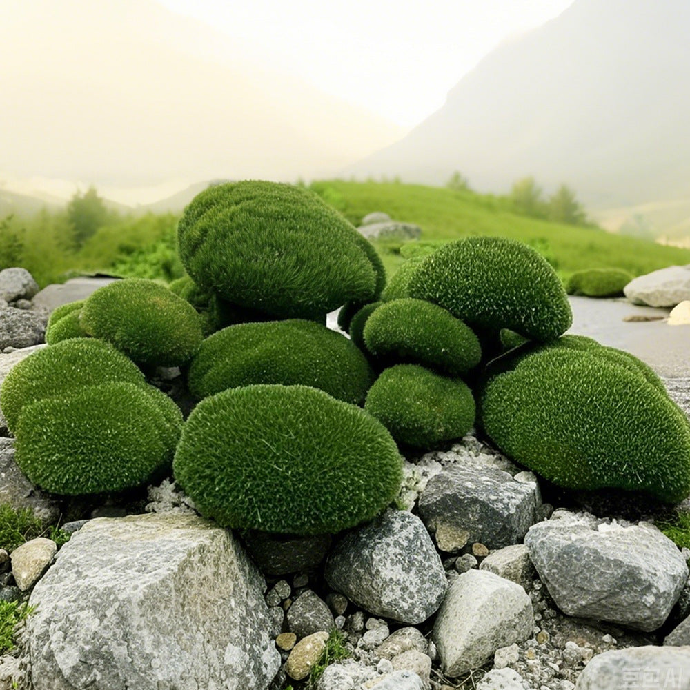 Artificial Moss Rocks for Terrariums, Planters, and Photography Props