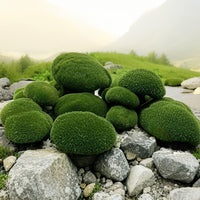 Artificial Moss Rocks for Terrariums, Planters, and Photography Props