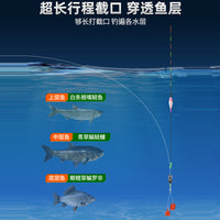 Luminous Fishing Float for Night Fishing, High Sensitivity Hard Tail Buoy for Bighead Carp