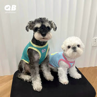 Pet Cooling Vest for Dogs - Breathable Mesh Summer Shirt for Small to Medium Breeds