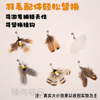Interactive Retractable Cat Wand Toy with Feather and Insect Refills for Indoor Cats