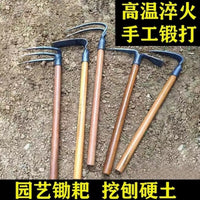 Gardening Hand Tool Set - Hoe, Rake, Shovel for Planting, Farming, Beachcombing