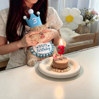 Cat Birthday Hat and Bib Set for Pets, Decorative Scarf and Hat for Photo Props