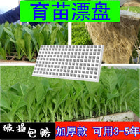 High-Density Foam Seedling Trays for Tobacco, Pepper, Watermelon, Corn - 162 Cells