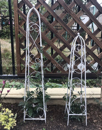 European Style Wrought Iron Plant Climbing Trellis for Outdoor Garden Patio Clematis Support