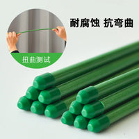 Tomato Plant Support Stakes with Clips and Ground Plugs for Climbing Vegetables and Flowers