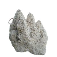 Natural Absorbent Stone for Miniature Landscapes and Garden Decor