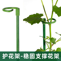 Garden Plant Support Stakes for Climbing Vines and Flowers, Single Stem Anti-Toppling Stand