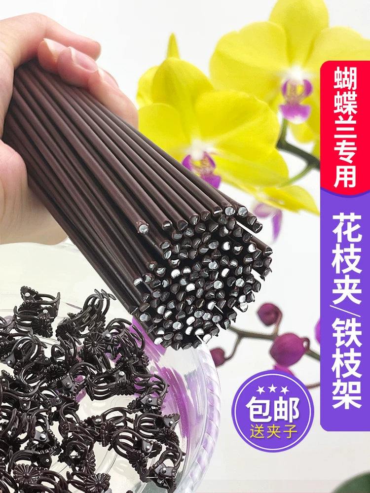 Orchid Plant Support Stakes with Clips for Climbing Vines and Floral Arrangements