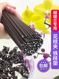 Orchid Plant Support Stakes with Clips for Climbing Vines and Floral Arrangements