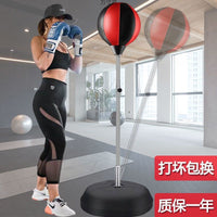 Freestanding Punching Bag with Speed Ball for Adults and Kids, Inflatable Boxing Training Equipment