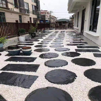 Irregular Bluestone Garden Stepping Stones for Patios and Pathways