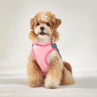 Pet Dog Cooling Vest for Summer Outdoor Heat Relief, Breathable Mesh Absorbent Cooling Vest for Small to Medium Dogs