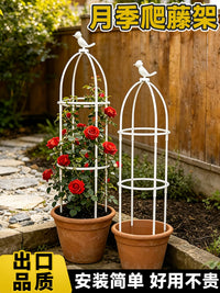 Climbing Plant Trellis for Potted Plants, Metal Garden Support for Roses and Clematis