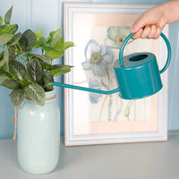 Long Spout Watering Can for Indoor Plants, Metal Watering Pot for Succulents and Small Potted Plants
