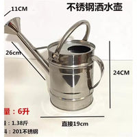 Stainless Steel Watering Can for Garden and Indoor Plants, Mini Lightweight Design