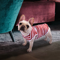 Striped Pet Vest T-Shirt for Small to Medium Dogs, Thin Breathable Cooling Apparel