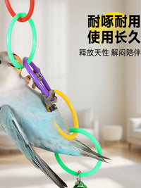 Parrot Swing Toy with Colorful Hanging Rings for Small to Medium Birds