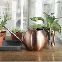 Spherical Stainless Steel Watering Can with Long Spout for Indoor & Outdoor Plants, 1000ml