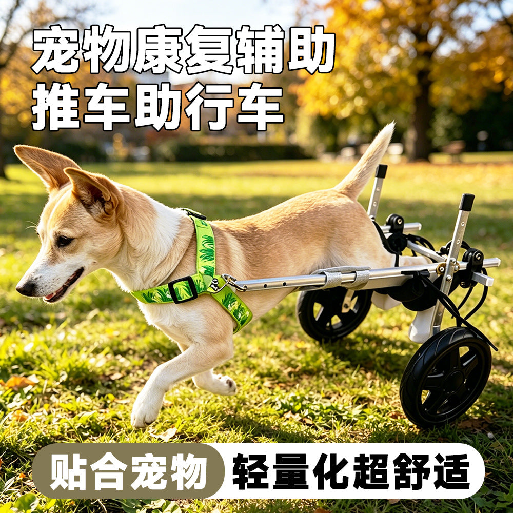 Pet Wheelchair for Disabled Dogs, Rehabilitation Walker for Hind Leg Support