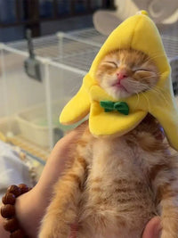 Pet Banana Cat Hat Headwear for Small Cats and Puppies Photo Props